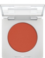KRYOLAN-BLUSHER 8 G / RÓŻ PRASOWANY DO POLICZKÓW / T 1