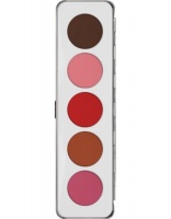KRYOLAN-BLUSHER PALETTE 5 COLORS / RÓŻE DO POLICZKÓW / 