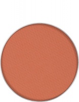 KRYOLAN-BLUSHER REFILL / RÓŻ DO POLICZKÓW / WKŁAD / TC 1