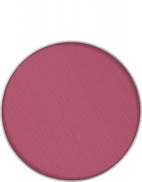 KRYOLAN-BLUSHER REFILL / RÓŻ DO POLICZKÓW / WKŁAD / S 304