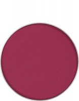 KRYOLAN-BLUSHER REFILL / RÓŻ DO POLICZKÓW / WKŁAD / LAKE