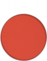 KRYOLAN-EYE SHADOW MATT REFILL / CIEŃ PRASOWANY DO POWIEK / RB 21