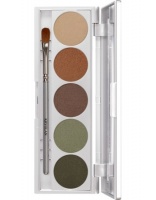 KRYOLAN-SHADES 5 COLORS / CIENIE DO POWIEK CAPE TOWN