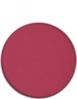 KRYOLAN-VIVA MATT COLOR REFILL / CIEŃ PRASOWANY DO POWIEK / ANNATTO